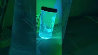 jellyfish speaker