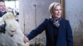 From Princess Anne To Sophie Wessex | Lesser Known Royal Engagements You Need To See!