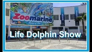Dolphin Show Life at Zoomarine Algarves Portugal, Comments in Portuguesa and English language