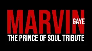 Marvin Gaye - The Prince Of Soul Tribute