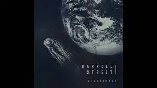 Carroll Street - Deep Violet