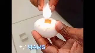 Windowing of egg for developmental studies 