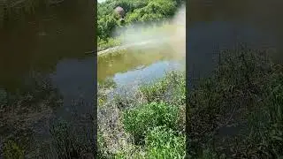 Catching All Fish Species in MN, Part 6: The Channel Catfish #fishing