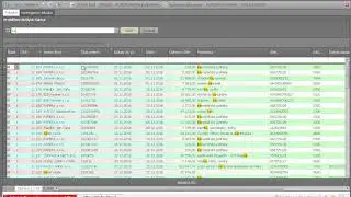 Datainfo ERP - Filtrov&aacute;n&iacute; tabulek dle v&scaron;ech sloupců