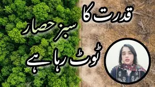 Deforestation in Pakistan #kpk #Deforestation #ClimateCrisis #SaveForests#KPKPakistan #GlobalWarming