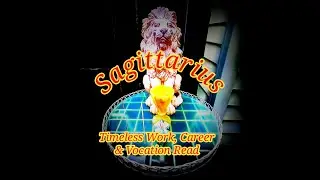 SAGITTARIUS: PERSEVERE 