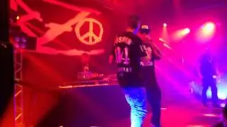 RZO 2016 DJ CIA