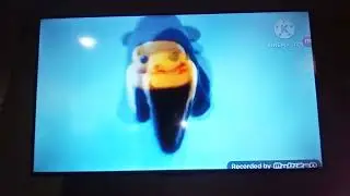 Barracuda Attack Au Copello