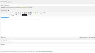 Understanding WordPress Visual Editor