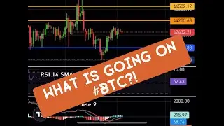 Bitcoin update 4 Feb 2024, THE BOTTLENECK!