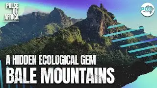 Ethiopia's Bale Mountains National Park: A Hidden Ecological Gem