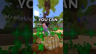 This server makes no sense!  #minecraft #minecraftpublicsmppe #smpserver