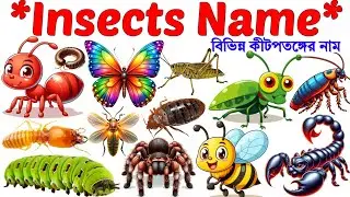 Insect Name | Name of Insects | Insects name Bengali to English | পোকামাকড় | Insects  with Pictures