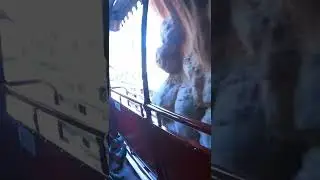 A ride through Splash Mountain on the Disneyland Railroad