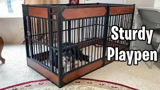 This Dog Playpen is Big and Well Made