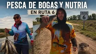 Pescamos una NUTRIA BOGAS Y MAS...dia de sacar carnada para la proxima pesca..