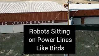 These Robots Live on Power Lines &mdash; And Never Need Charging