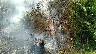 Forest fires rage in Indonesia's Sumatra | AFP