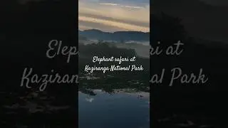 Elephant safari at kaziranga national park🏞️ #safari #elephant #northeastindia #india #ytshorts