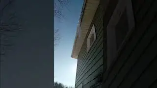 Heavy ice damage