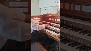 Heino - Ein kleines Gl&auml;schen (Markus Lind, Rodgers 905 Orgel) #heino