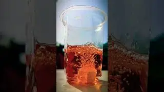 💥Sodium & Petrol Shocking Experiment💥#WeRmad