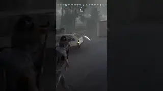 Vigor как то так и не как иначе )