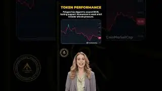 Top Loser Today