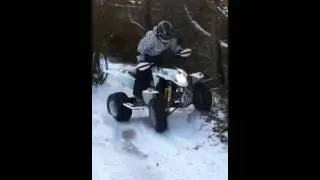 Quadzilla 300e stinger *1