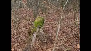 hardwoodsman challenge land nav