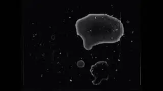 suicidemouse.avi