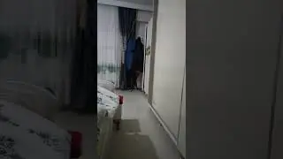 haber videosu