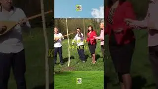 Vrijeđaj ustav i državu, vrijeđaj entitete al &scaron;argiju ne diraj mi #izvornamuzika #luvasrecords #folk
