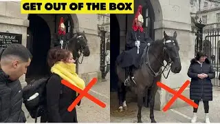 Hero Guard Shouts at Ignorant Tourists 🤣 They Won’t Forget This 