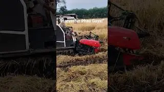 Gaon Ki Farming Reality 😳 | Harvester Machine Phas Gayi #shorts #villagerlifestyle #song