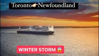 TORONTO TO NEWFOUNDLAND ||$800 TICKET😱 || 8hrs LUXURY FERRY TRIP ||