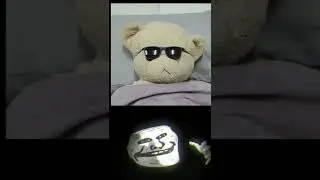 big bear got prank troll face