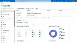 Azure Database Fleet Manager Experience