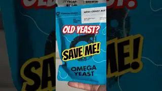 Easy way to bring back old yeast!! #beer #craftbeer #homebrew #yeast