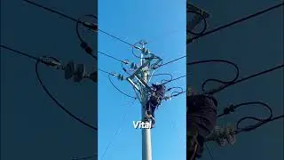 High Above: Precision Electrical Work on Power Lines by a Lineman #shortsfeed