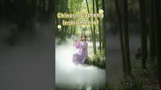 Relaxing Guzheng Music Inspired by Ancient China