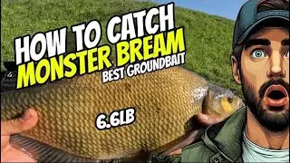 Specimen Bream Fishing | Catching Common Bream on a Feeder Rod #fishing2024