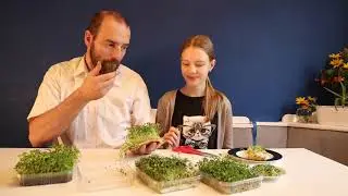 Kuchnia molekularna -[#12] - Microgreen, Mikro Liście, mikro ogrody