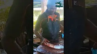 Amazing 😲 ! Eel like garfish cutting #garfish  #fishcutting #fishcuttingskill #bigfishcutting #fish