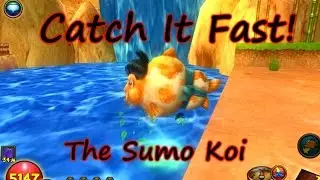 Wizard101: Fishing Catch It Fast - Sumo Koi