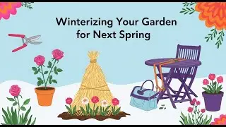 🌱Winterizing Your Garden for Next Spring | 10 Essential Steps to Protect Plants & Soil Before Winter