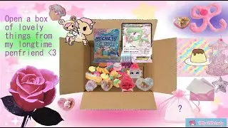 The joy of a pen pal ep #1 Unbox & my setup for pen pal supplies !! ₊✩‧₊ .☘︎ ݁˖