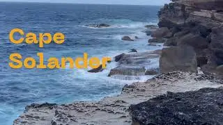 Cape Solander Hidden Cave Sydney Day Trip