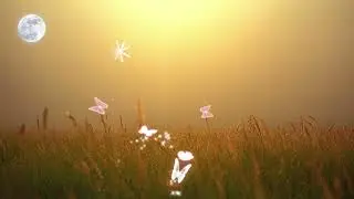 Cuối Tuần Chậm Lại | Nhạc Nghe Cả Ngày Khi Không Muốn Đi Đâu | Piano - Không Lời