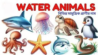 Water Animals Name 🐧🐙| 20 Different Animal Name in English | Kids Learn Video In Preschool Toddler |